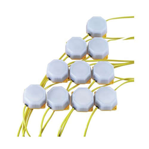 Festoon Lights