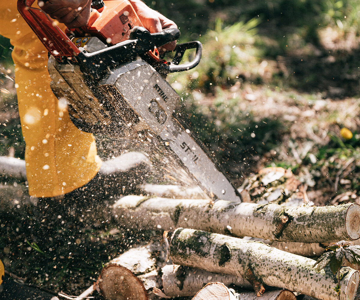 Top 5 Best-Selling Chainsaws for 2022 | Toolden