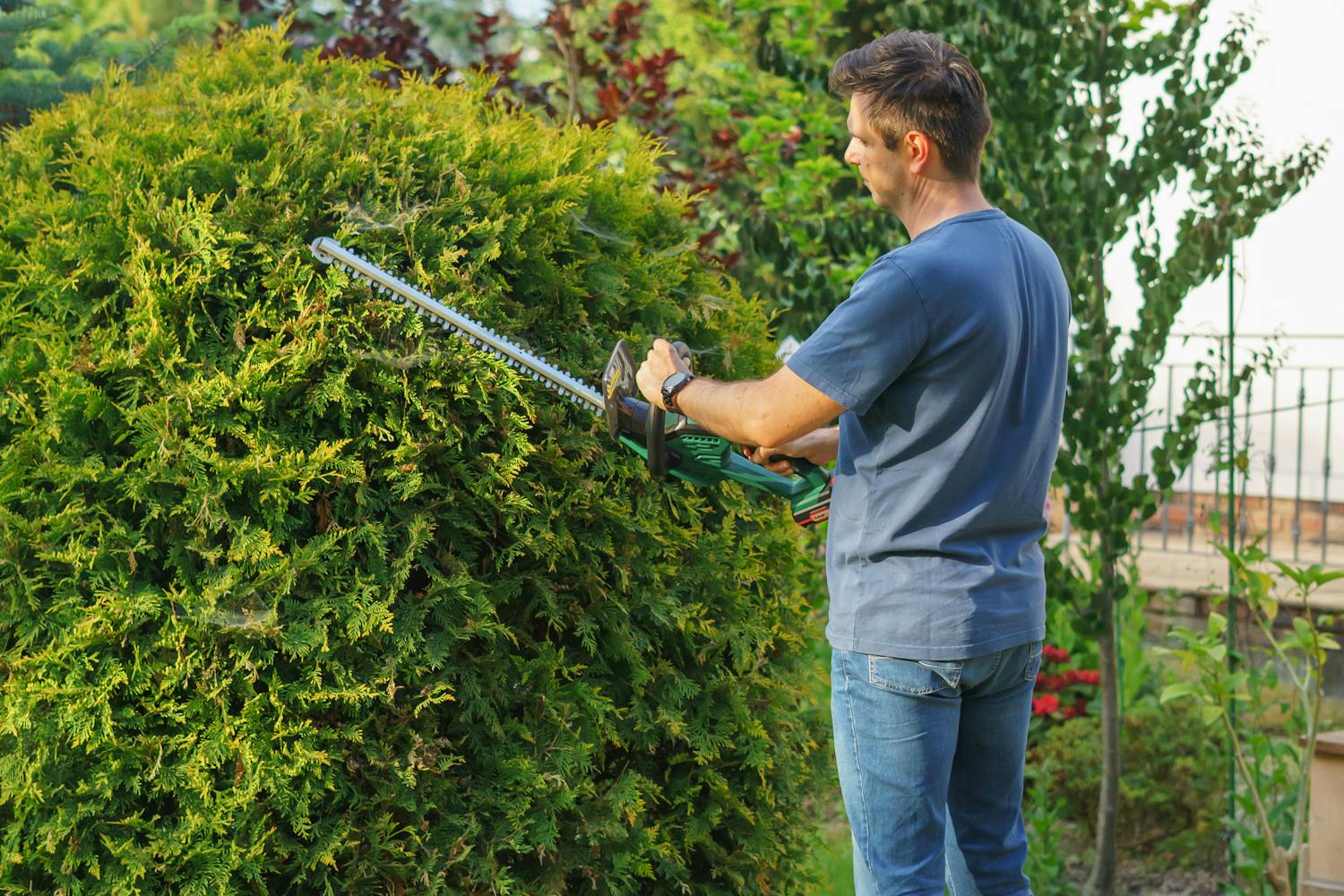 Hedge Trimmer